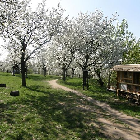 Ubytovna Toulcuv Dvur Praag Buitenkant foto